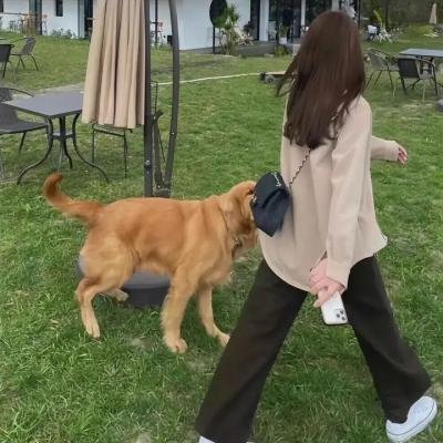 夹缝求生